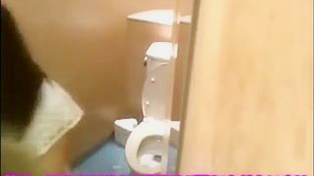 シャイでセクシーな日本人形がトイレにいる