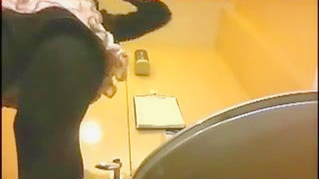 日本のセクシーな女性がトイレにいる