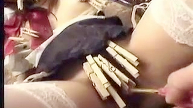 Entrancing schoolgirl is having bondage sex in the room
