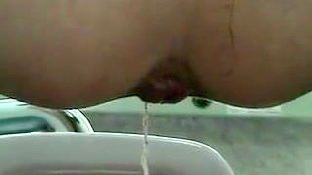 Nasty and cute doll with hairy cunt is ing in the toilet