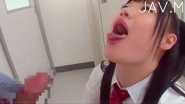 Agreeable and cute japanese  is giving perfect blowjob