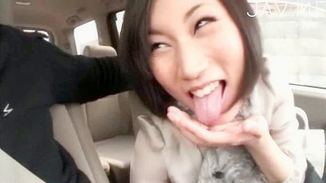 Enjoyable blowjob from an alluring Japanese sweetheart