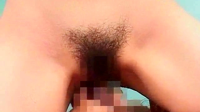 Hairy chick nailed by two hunks in perfect threesome