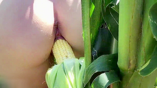 日本の農場売春婦が畑の大きなトウモロコシで自慰にふける