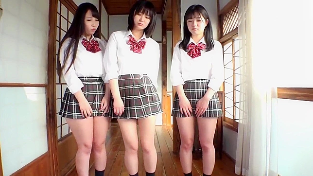 Witness Voyeuristic Fun as Ameteur Japanese Teen Girls Show Panties Upskirt!