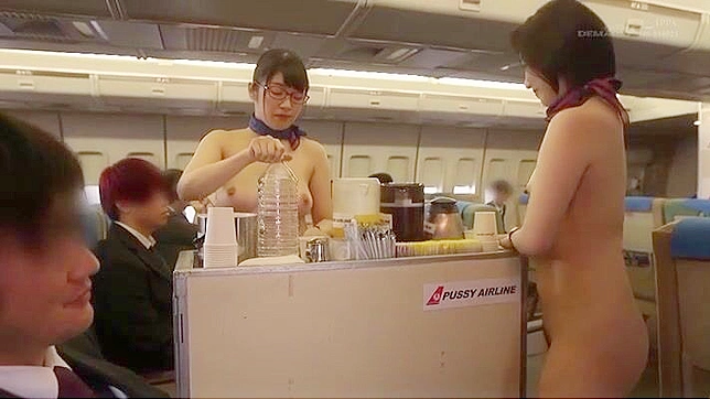 日本から来た客室乗務員が機内で娼婦として乗客を犯す