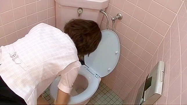 日本のOLがトイレでオナニーしているところを盗撮される