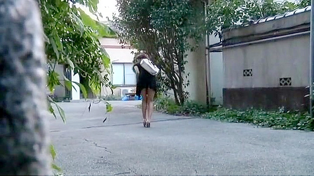Voyeur Captures Japanese Girl's Risky Outdoor Masturbation with Orgasmic Convulsions and Self-Pleasure