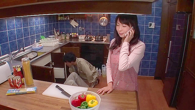 Japanese Housewife's Seductive Encounter with Two Handymen
