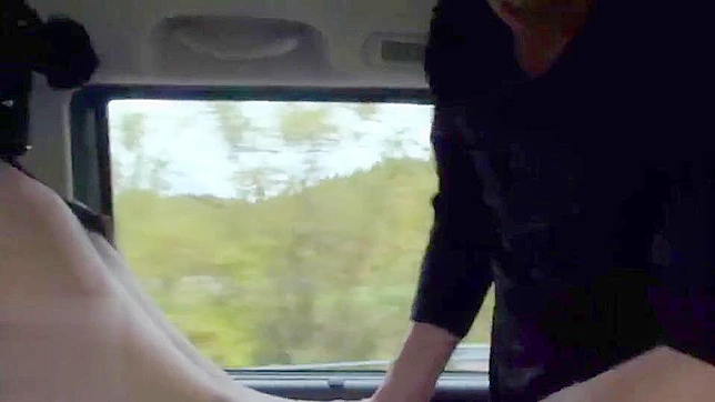 日本の10代の尻軽女、高速道路と車内で乱れる