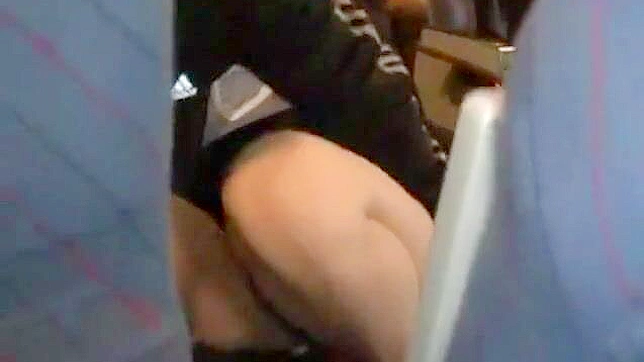 Nippon Babe Gets Naughty on Flight with Rough Sex and Groping