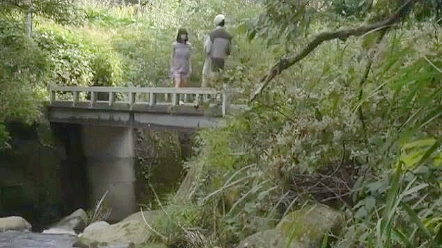 Tokyo Forest Maniac Collects Toll From Lonely Teen