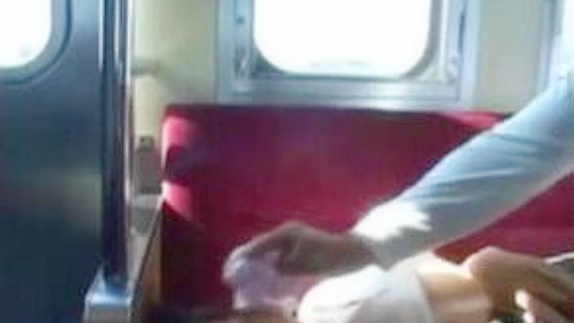 電車で痴漢に遭った日本人女性の密かな妄想が現実になる。