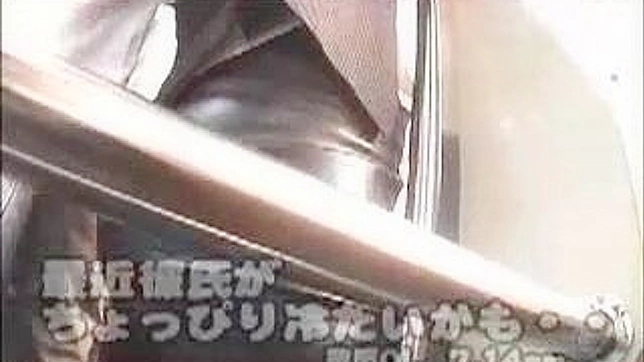 日本の電車内での痴漢・痴棒-衝撃の暴露
