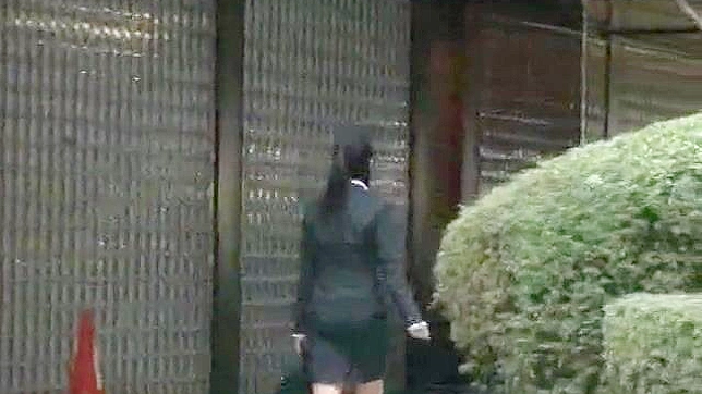 Elevator Encounter - JAV Woman Seduced by Delivery Man