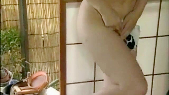 Sister Secret Desires Fulfilled in Steamy Nippon Shower
