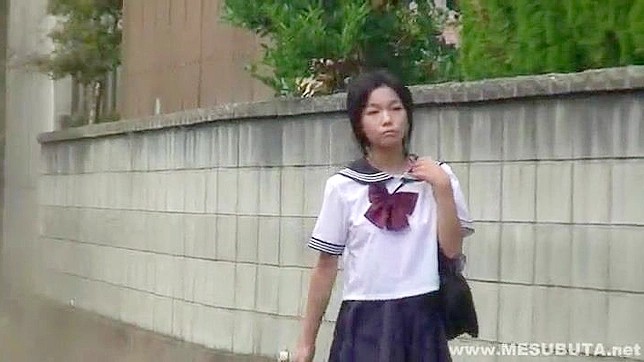 Porn Star Mimi Miyagi Cruelty School Girl Gangbang on Public Street