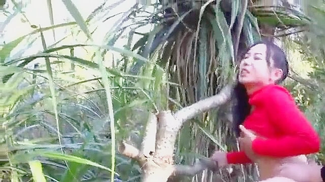 Passionate Asian Couple Wild Adventure in Nature