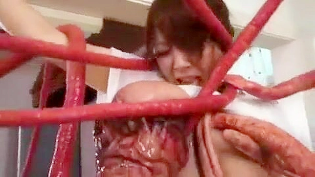 Tentacle Assault on Poor Hitmomi Tanaka