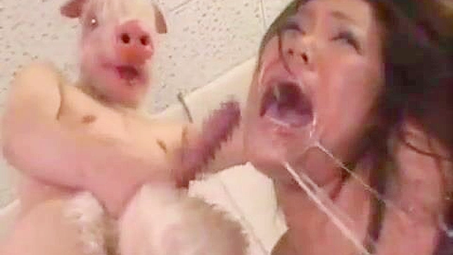Asians Porn Star Wild Animal Fantasy