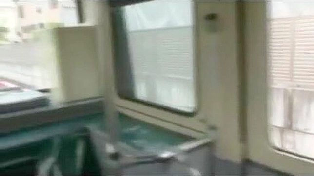 Innocent Victim Shocking Assault on Public Transport in Japan