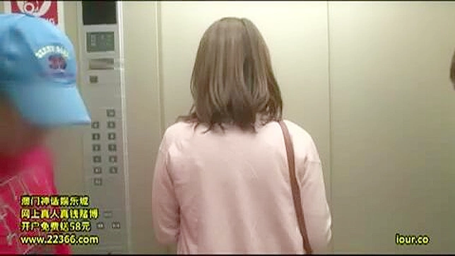 Porn Video Public Exposure in Elevator with Teens