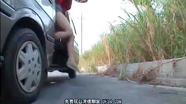 Sexy Naive Hitchhiker Gets Wild Ride in Japan
