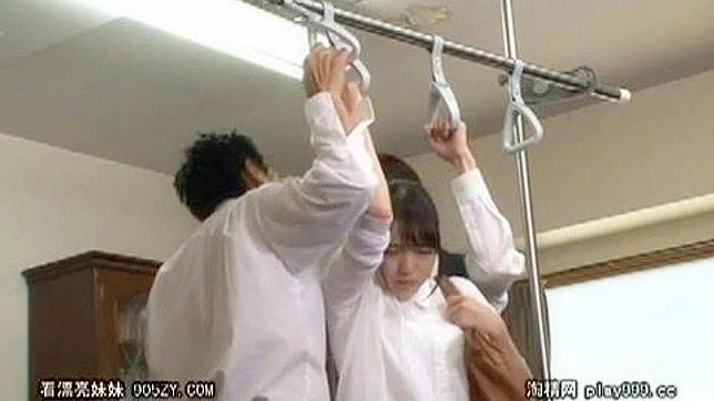 Public Playtime - Exploring the Dangers and Thrills of Simulated Crowds in Nippon Porn