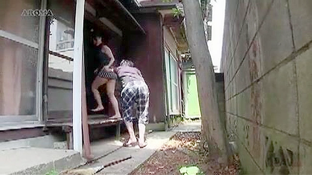 Sexy Milf Takes Advantage of Absence with Naughty Neighbor in Steamy Japan
