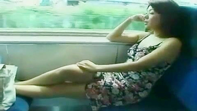 UNCENSORED J-POPアイドルが公衆の面前で電車の痴漢に乱暴される