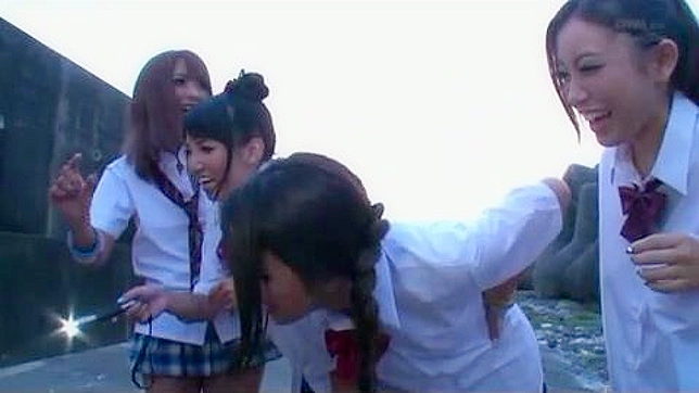 日本の女子校生と奇妙な男たちとの性的冒険 - 出演：桜井あゆ、友田彩也香、二宮ナナ、水崎あかね。
