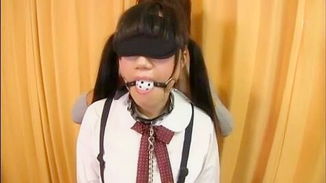 Blindfolded Busty Beauty Gets Ravished in Japanese Porn
