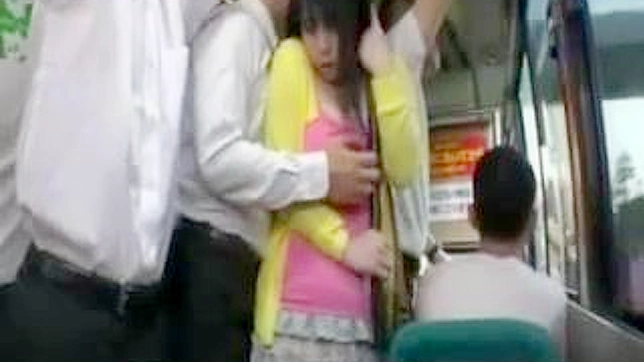 Japan Busty Teen Stressful Public Train Sex