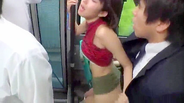 Public Bus Seduction by Horny Nippon Couple