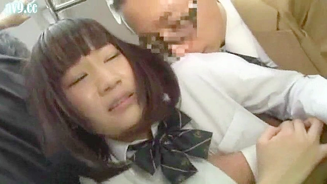 Sexy Schoolgirl Gets Pounded by her Hot Teacher on Public Train