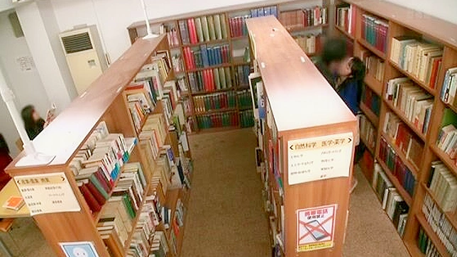 石とファック - 巨乳女子校生が若い司書と図書館で戯れる