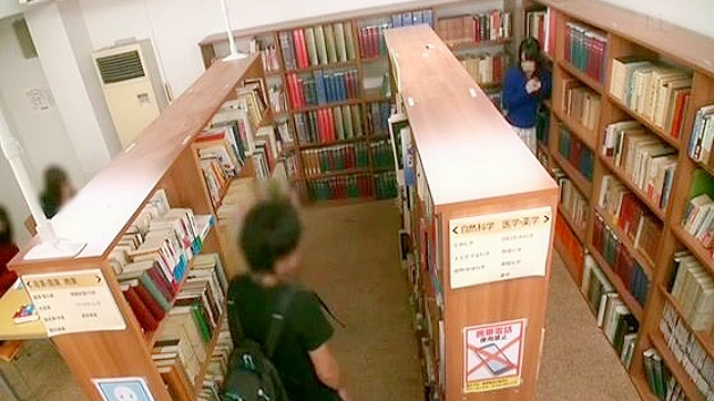 石とファック - 巨乳女子校生が若い司書と図書館で戯れる