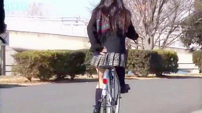 Schoolgirl Terrifying Encounter with a Maniac on her way home from Asians school