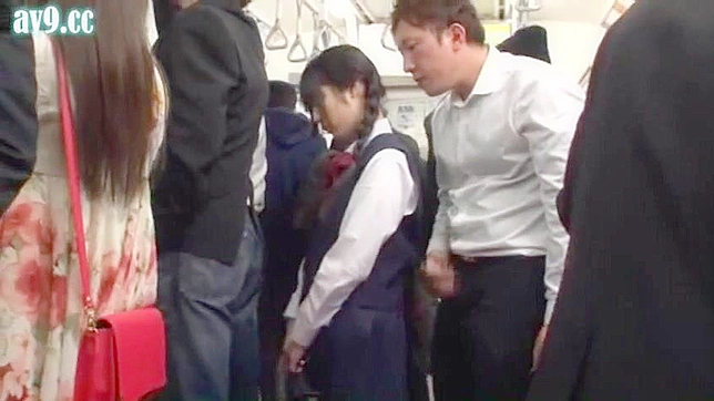 病的な変態による日本の女子学生への性的暴行