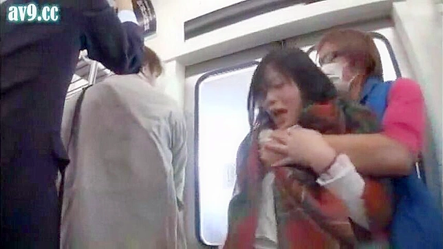 Japanese Babe Public Sex Romp on Train Leaves Passengers Speechless