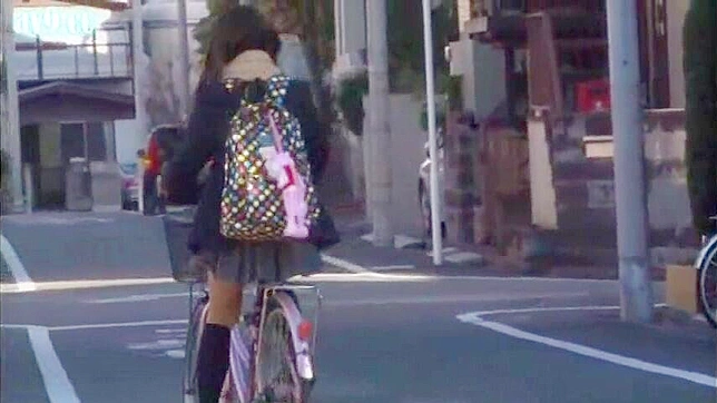 Maniac Sexual Assault on Teenage Cyclist in Japan