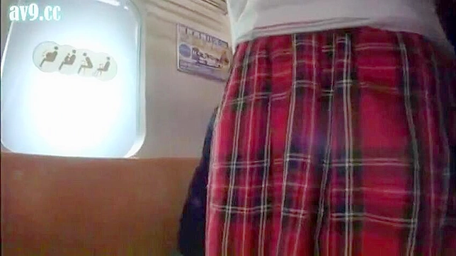 Public train sexcapade with busty schoolgirl and pervy old guys