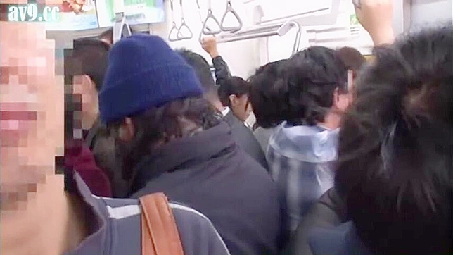 Nippon Teen Wild Public Sex Romp on Packed Train
