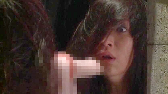 日本のポルノビデオ - 女囚が刑務所でダブルチームになる