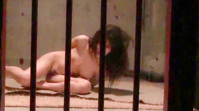 日本のポルノビデオ - 女囚が刑務所でダブルチームになる