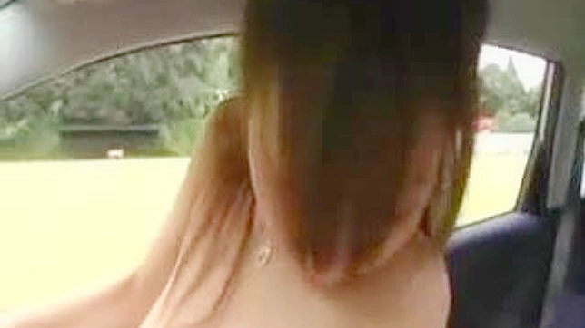Nippon Girl Gets Wild in Car Sex