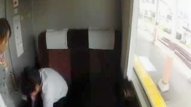 Unleashed Desires - Train Hostess' Wild Ride with Unsatisfied customer