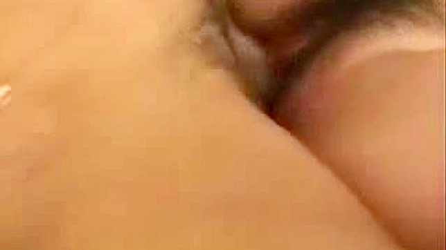 Japanese Porn Video - Grabbing Wife sister for her tits was not smart