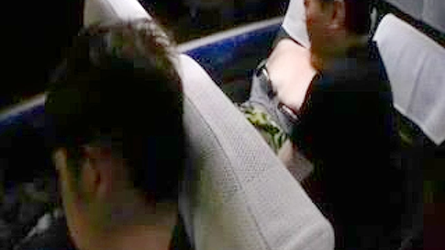 Japanese Sleepy Milf Groped on Bus 2