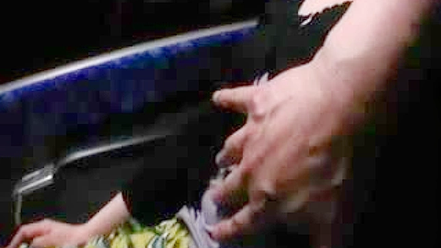 日本の眠たそうな乳房がバスで触られる 2